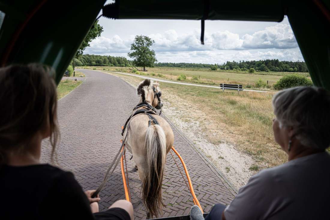  Drents-Friese Wold mit einer von Pferden gezogenen Kutsche oder einer Traktorbahn