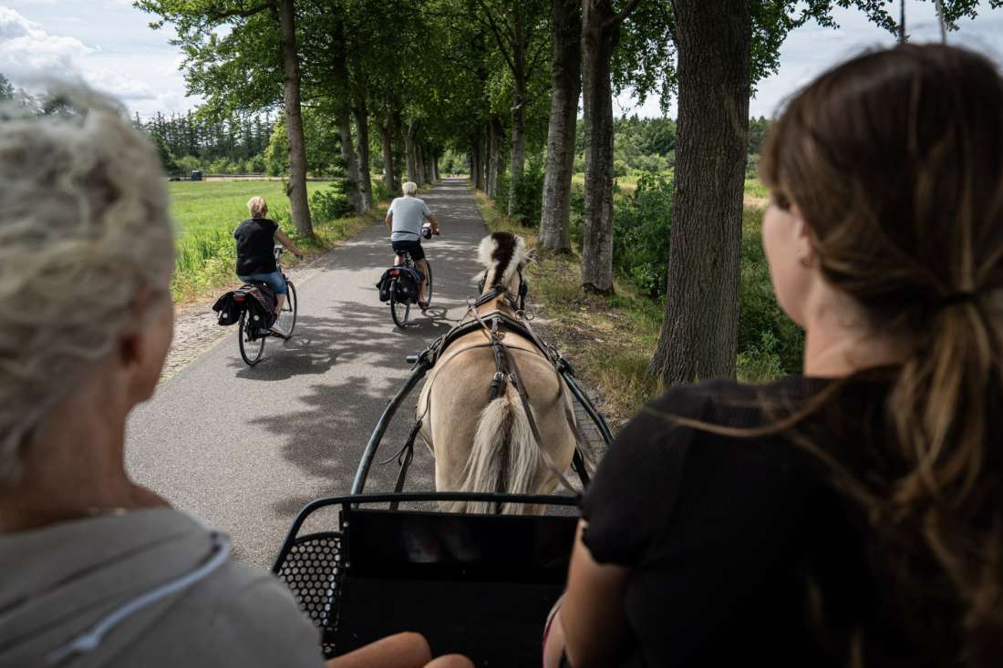 rondrit met paard Natuurgebied Drents-Friese Wold
